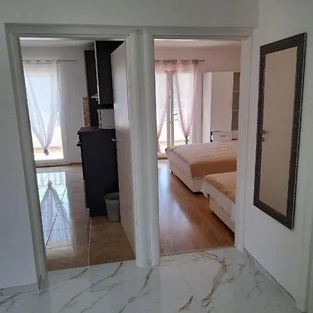 Andelic Apartman *